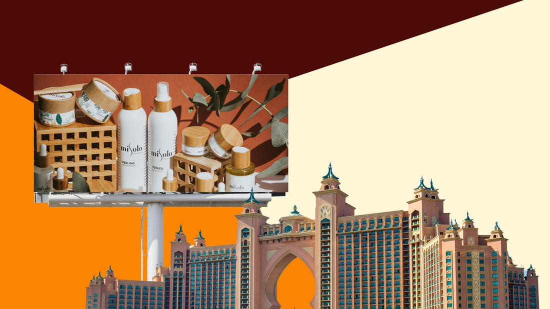 Unleashing the Potential: The Impact of Display and Video Advertising on Dubai's Diverse Audience